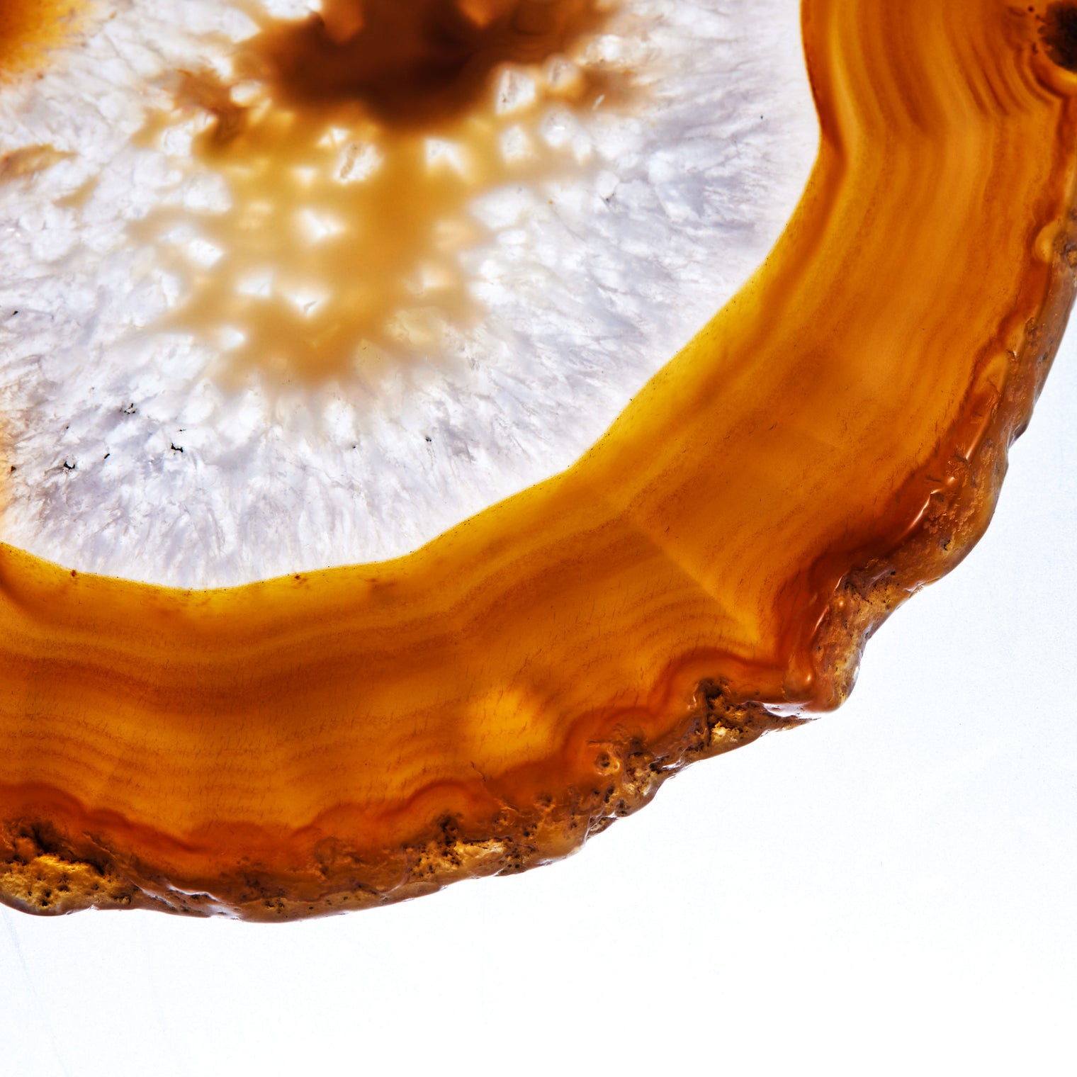 Set of 4 Natural Brazilian Agate Drink Coasters with Wood Holder - Oak