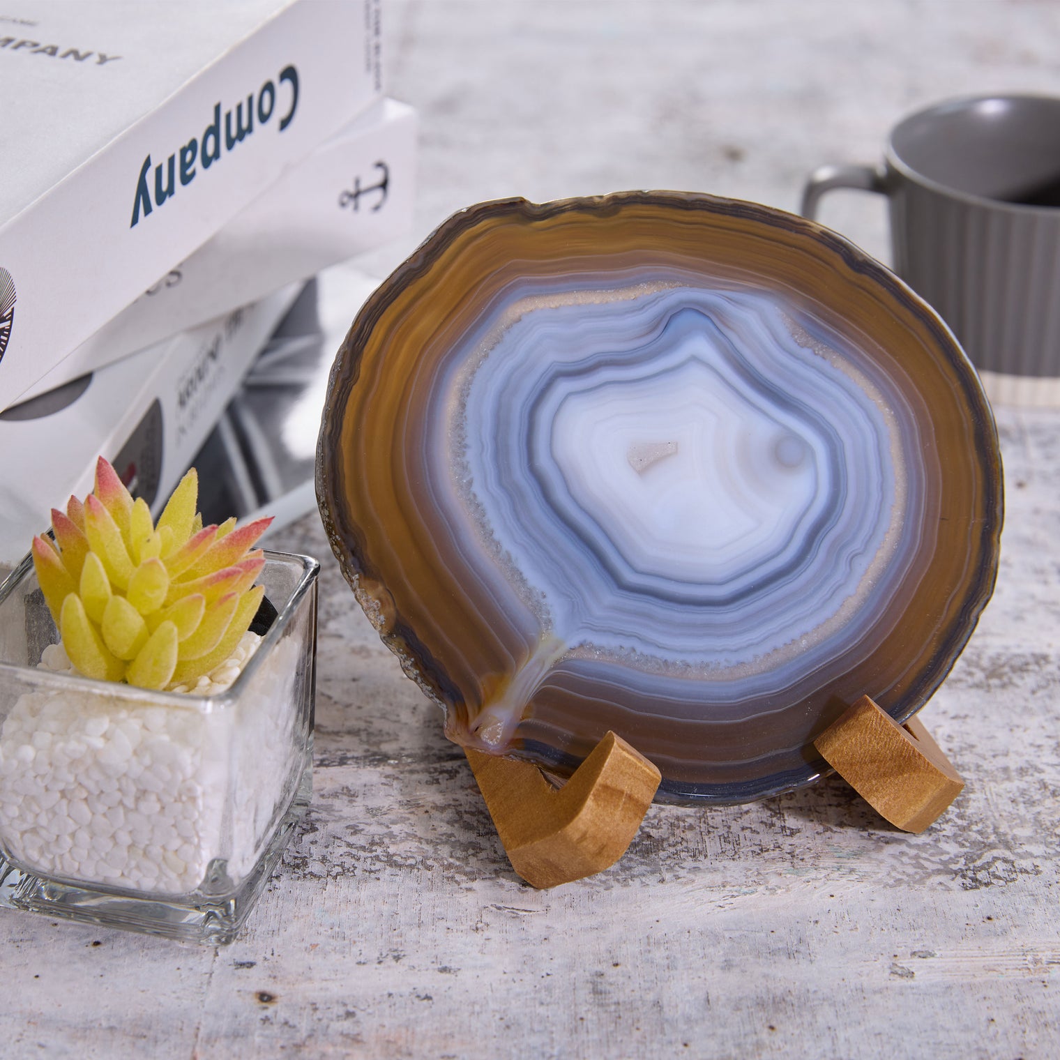 Large Natural Brazilian Agate Drink Coaster with Wood Holder - Oak