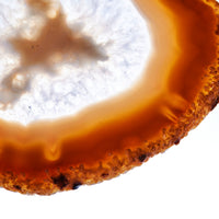 Set of 4 Natural Brazilian Agate Drink Coasters with Wood Holder - Oak